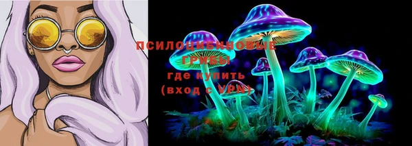 твердый Армянск