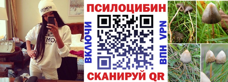 Псилоцибиновые грибы MAGIC MUSHROOMS сколько стоит kraken маркетплейс Ак-Довурак