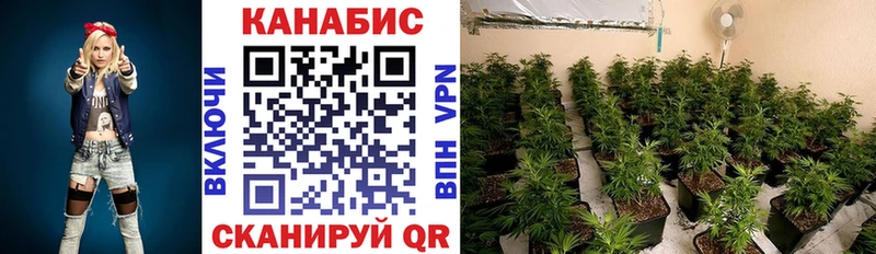 Каннабис Amnesia  OMG   Ак-Довурак 